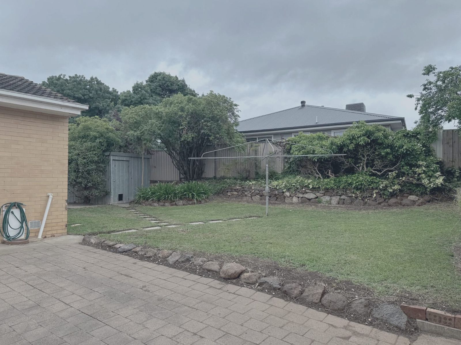 Backyard — before
